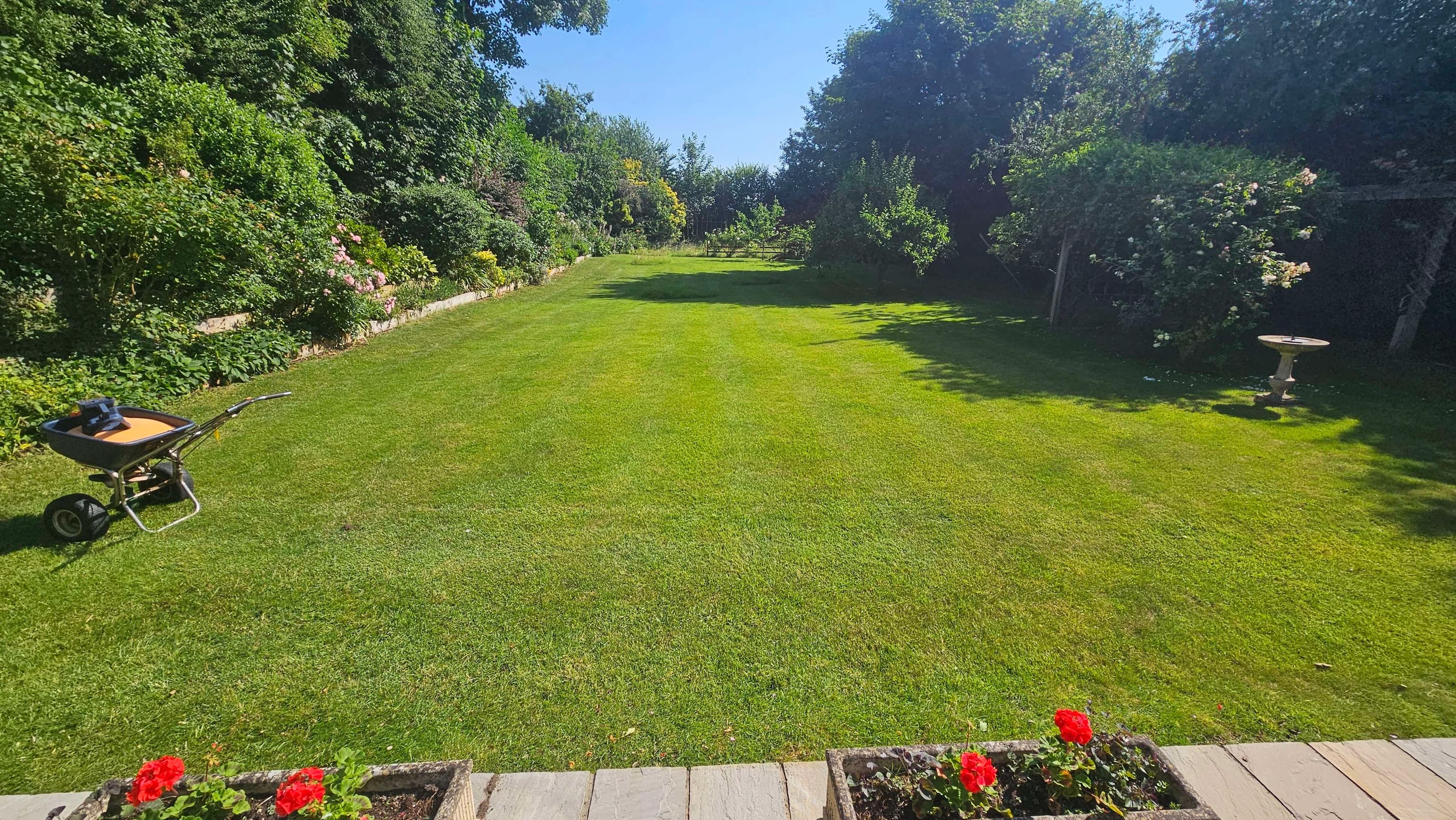 Lush, green lawn based in Hemel Hempstead