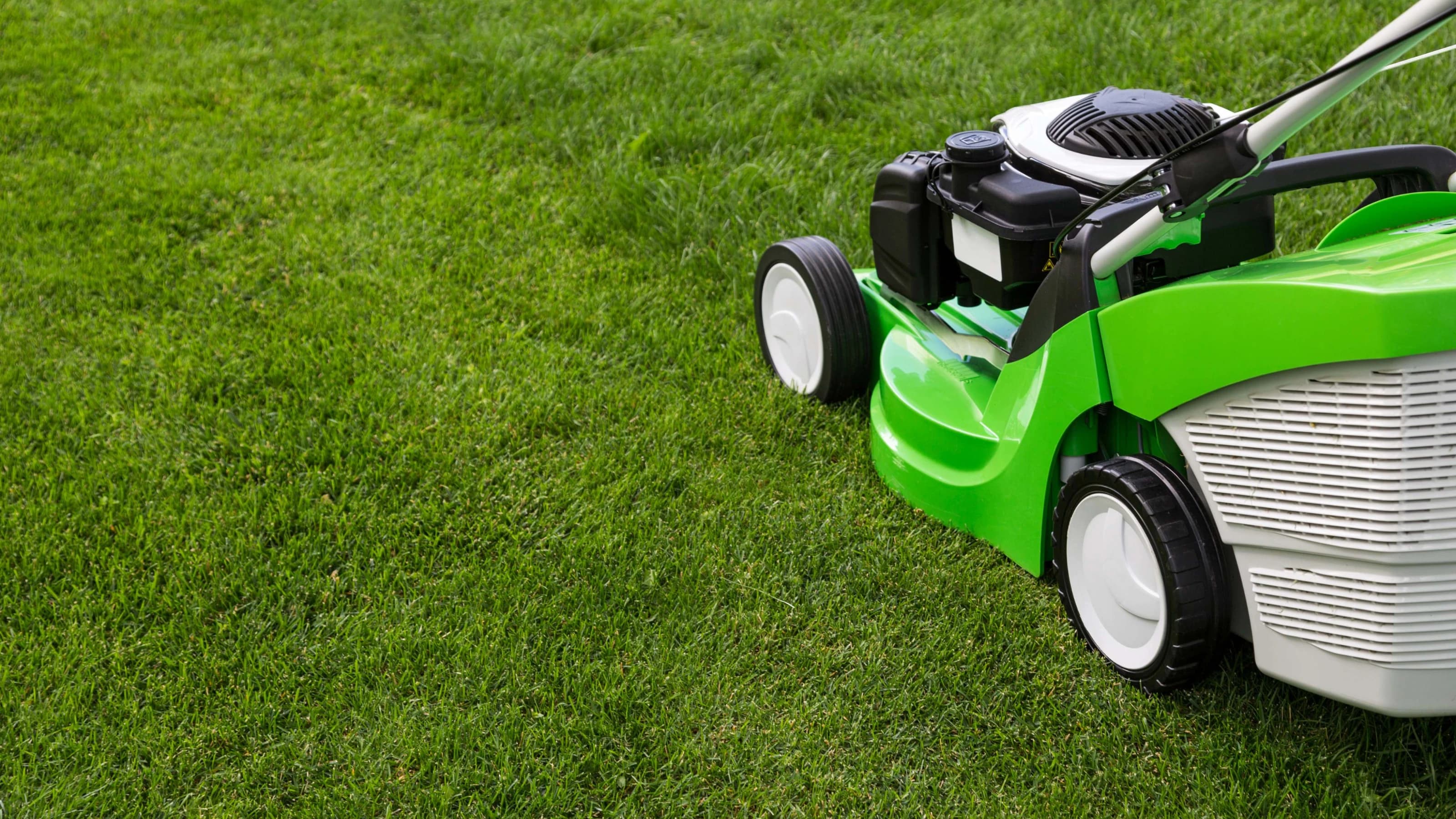 Green lawnmower on green lawn