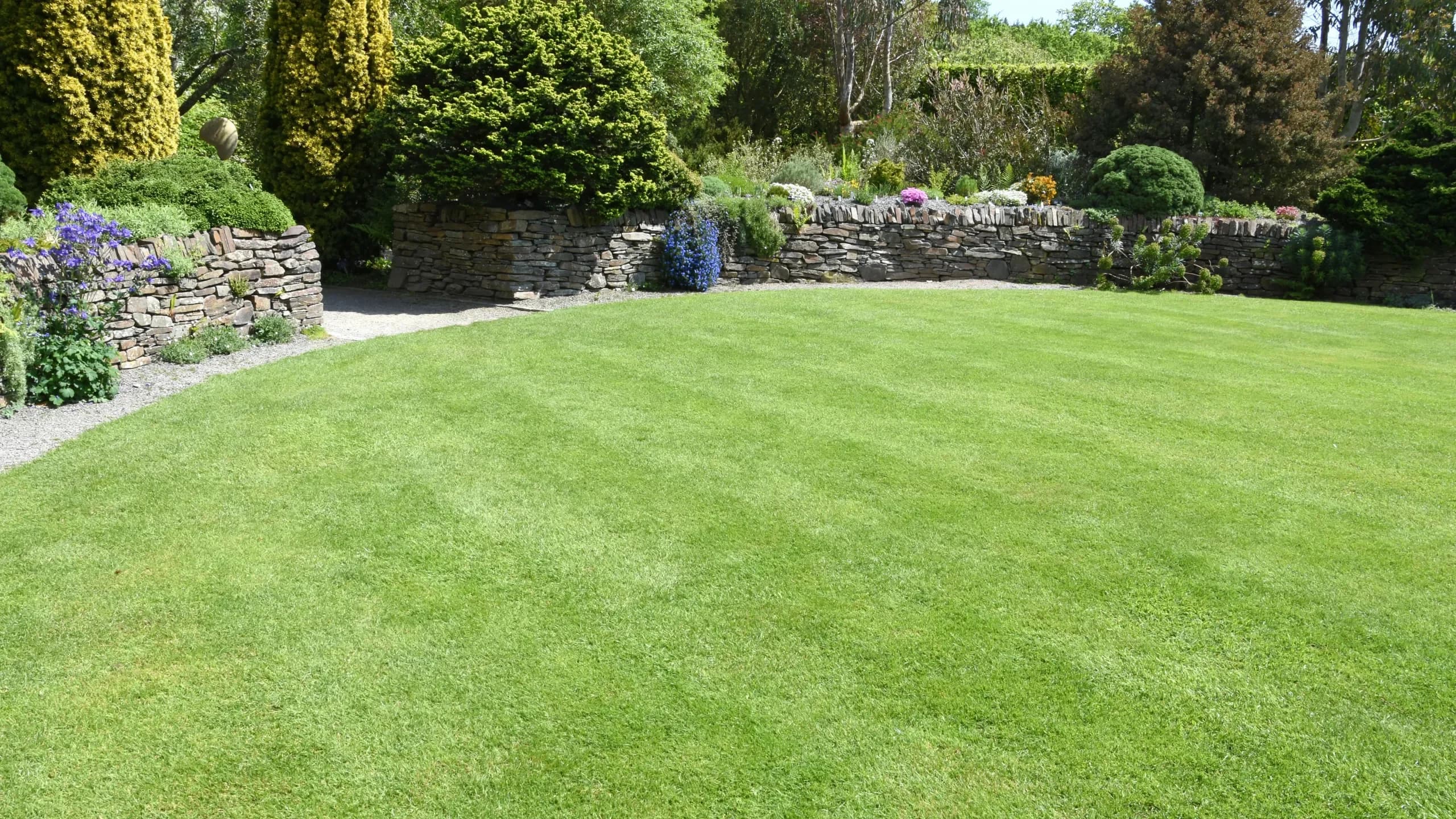 Image of striped lawn with surrounding flower borders