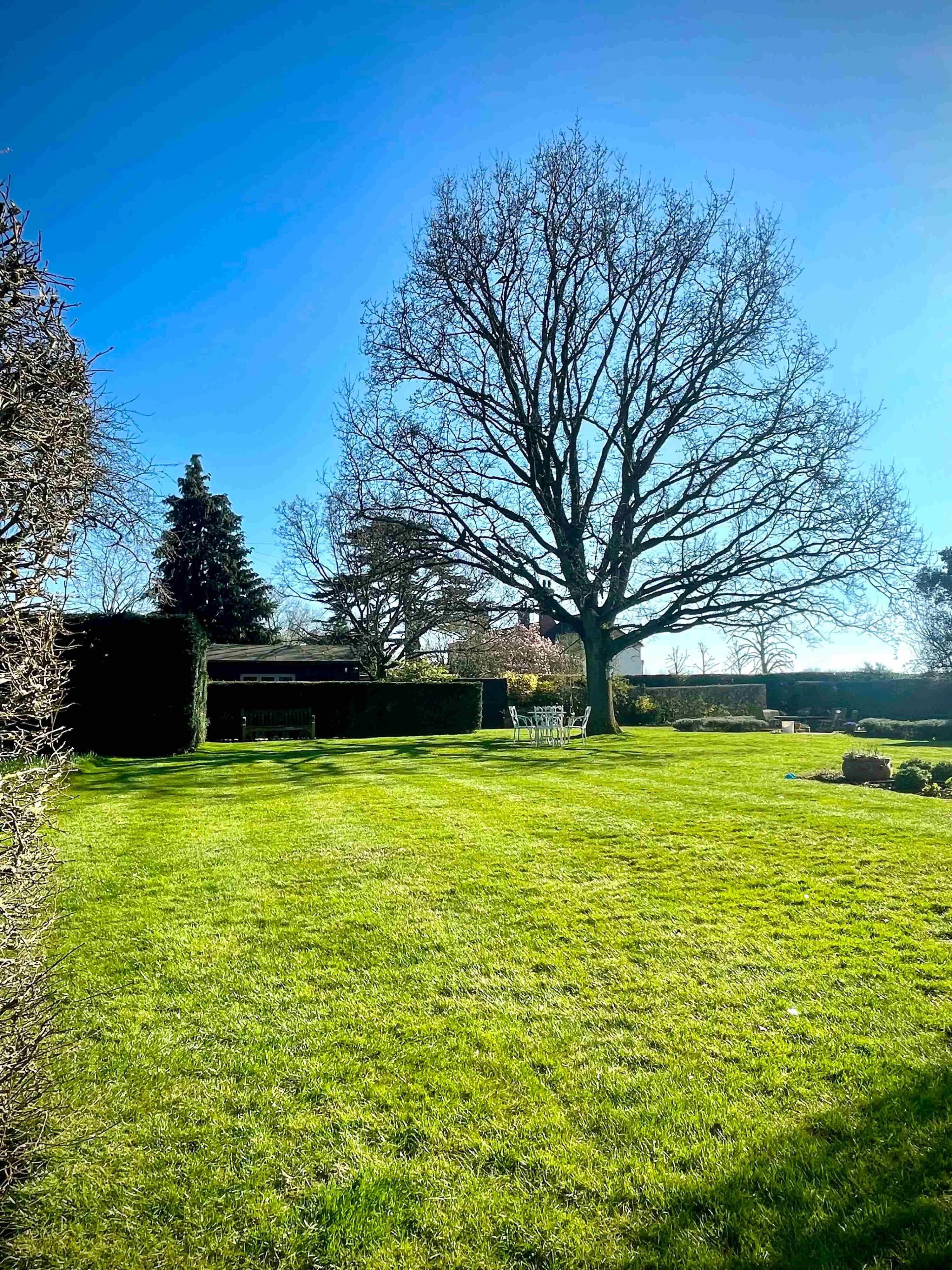 Image of striped lawn on a sunny, winters day