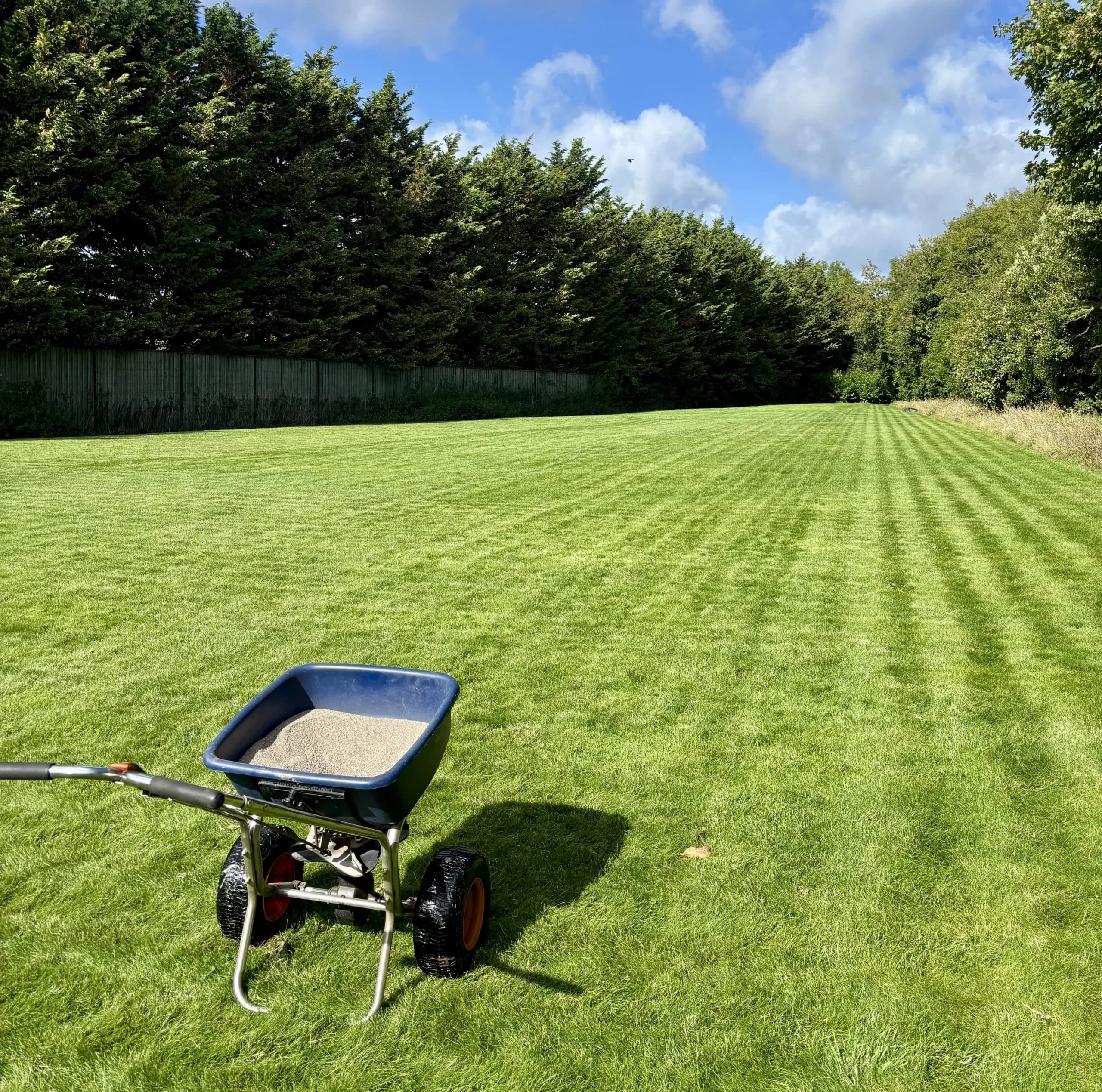 Image of fertiliser spreader on a larger striped lawn