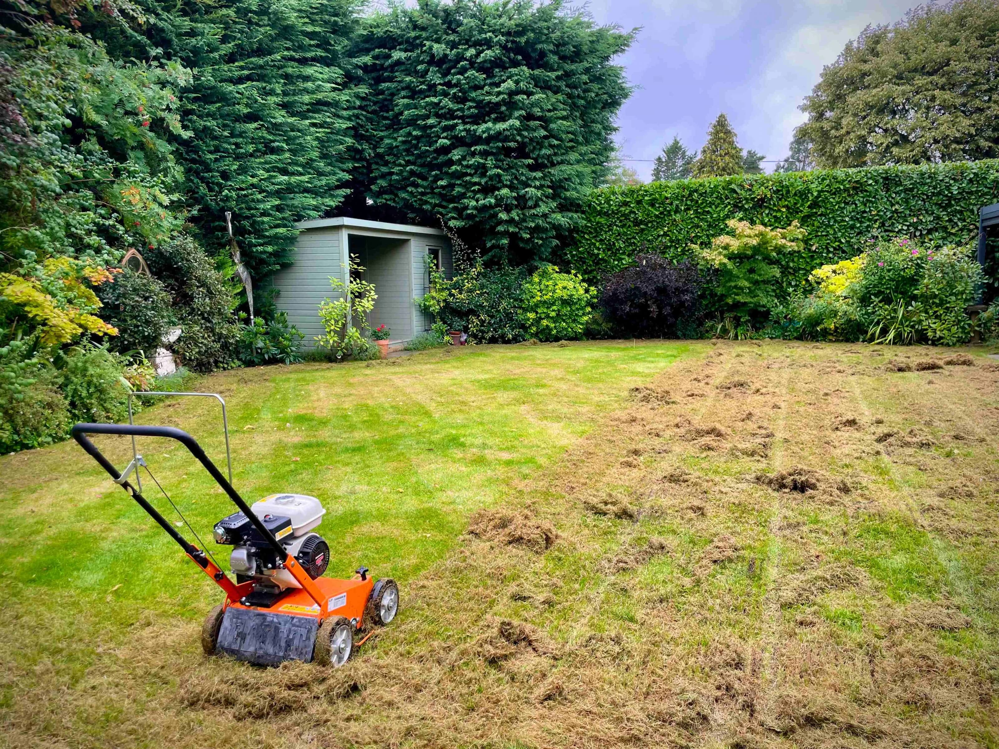 Image of lawn scarifier on a lawn that has been partially scarified