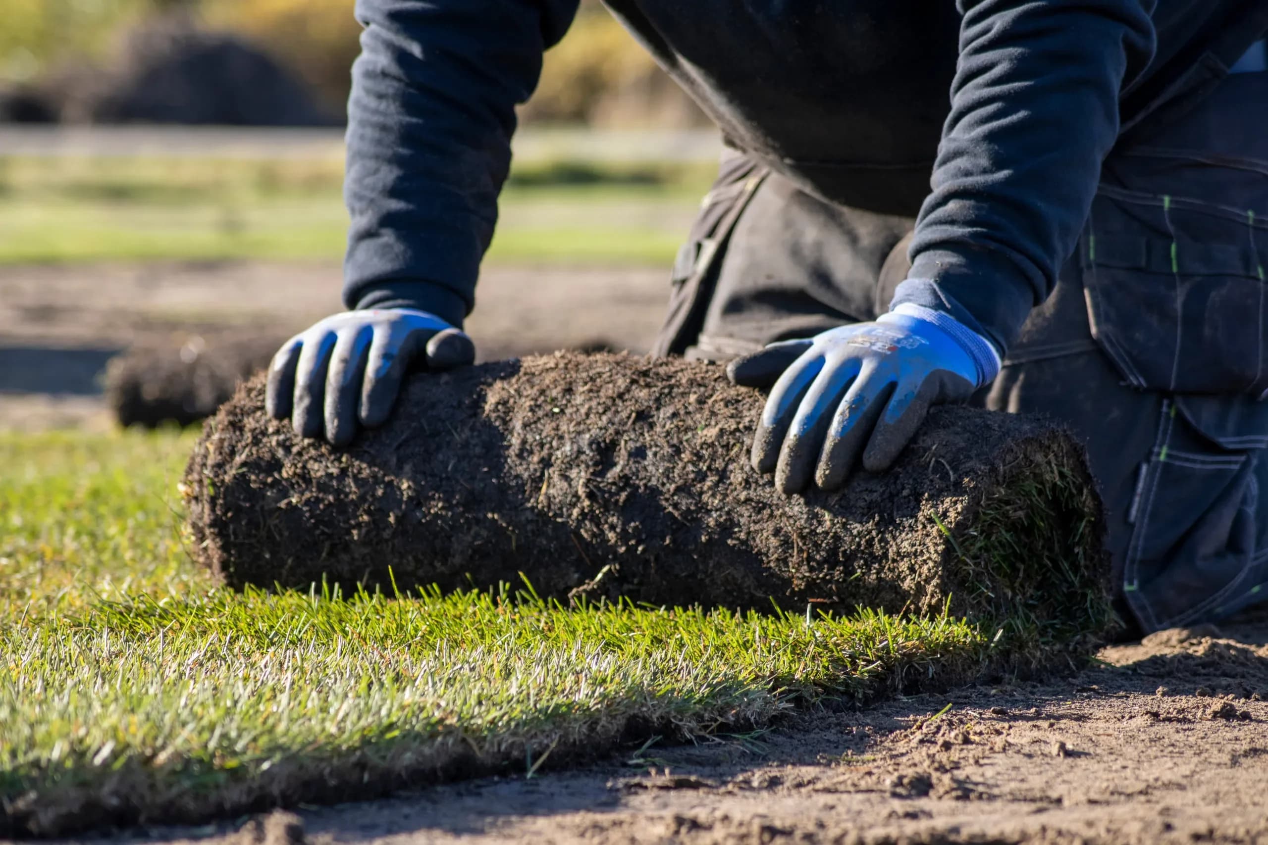 Man rolling out lawn turf