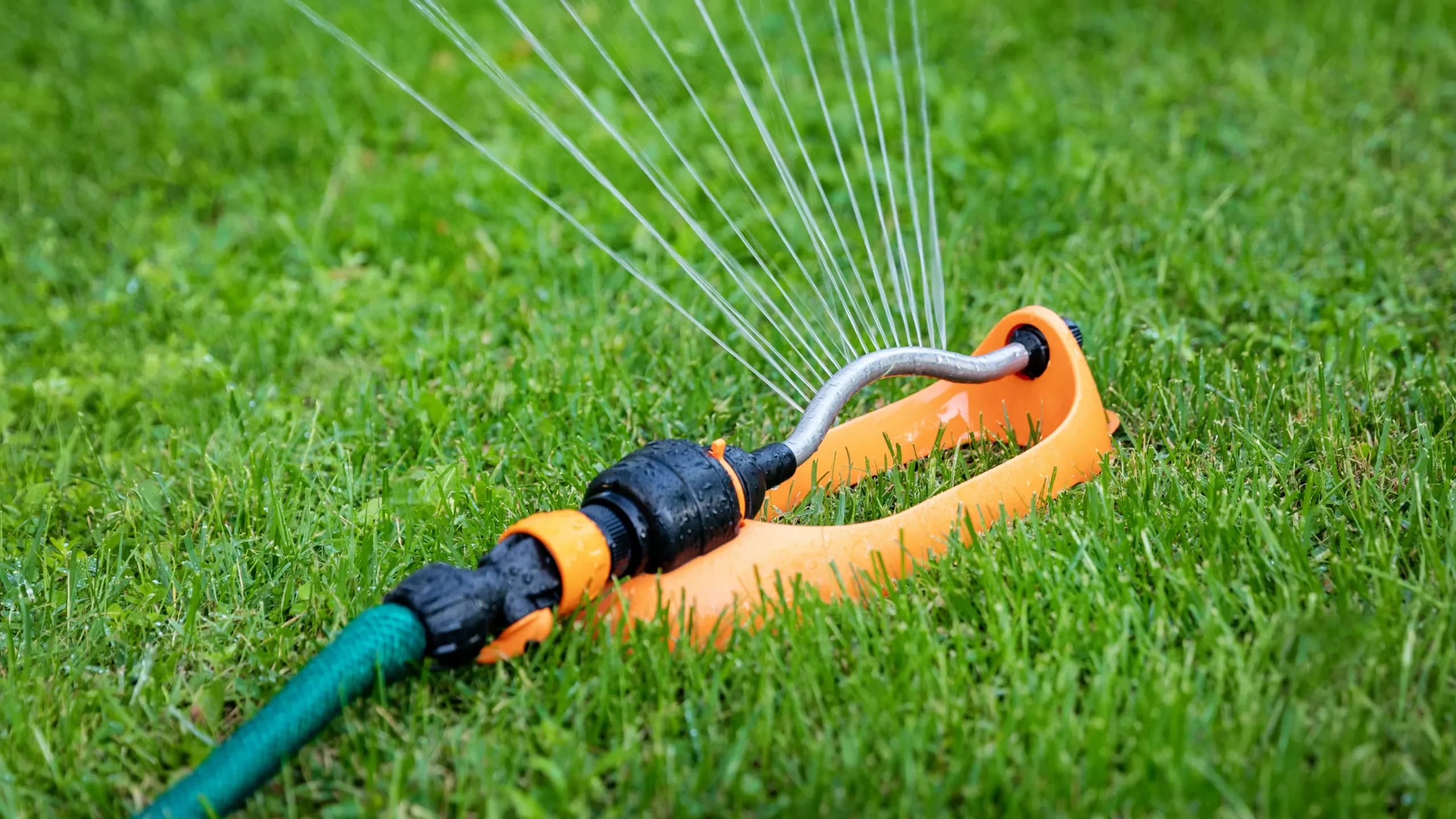 Image of a sprinkler on a lawn