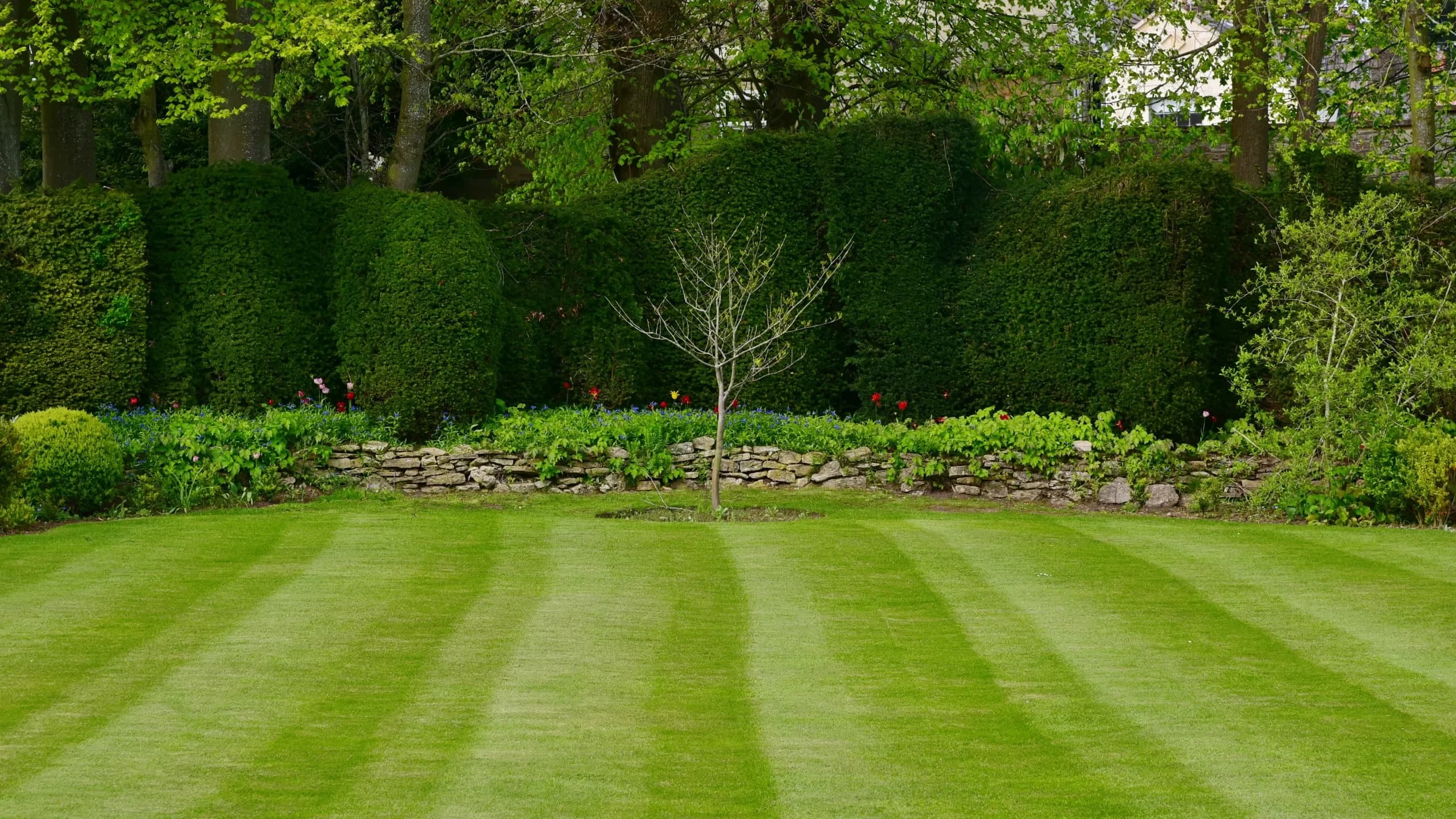 Image of striped lawn