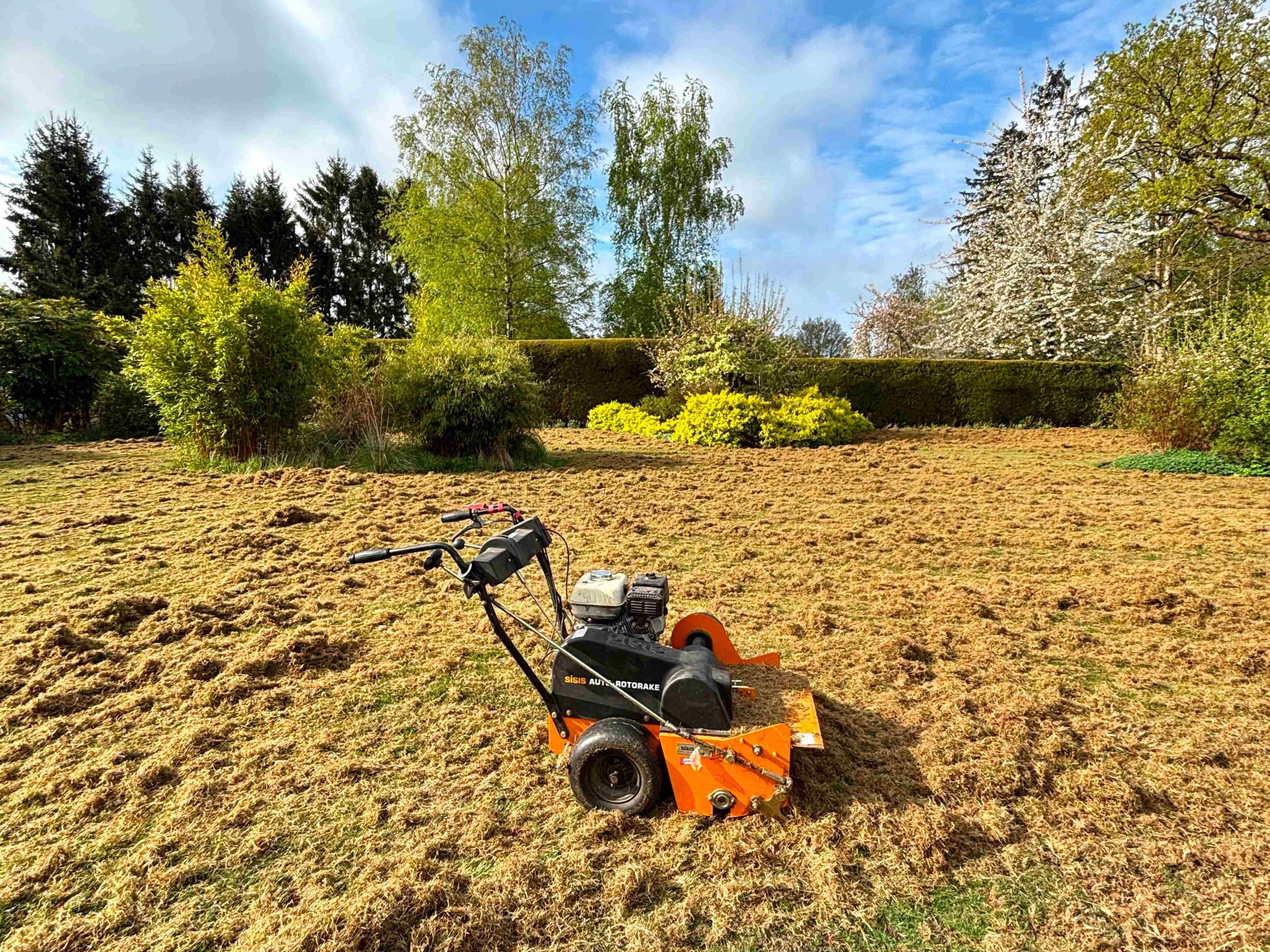 Image of scarifier on a lawn that has been heavily scarified