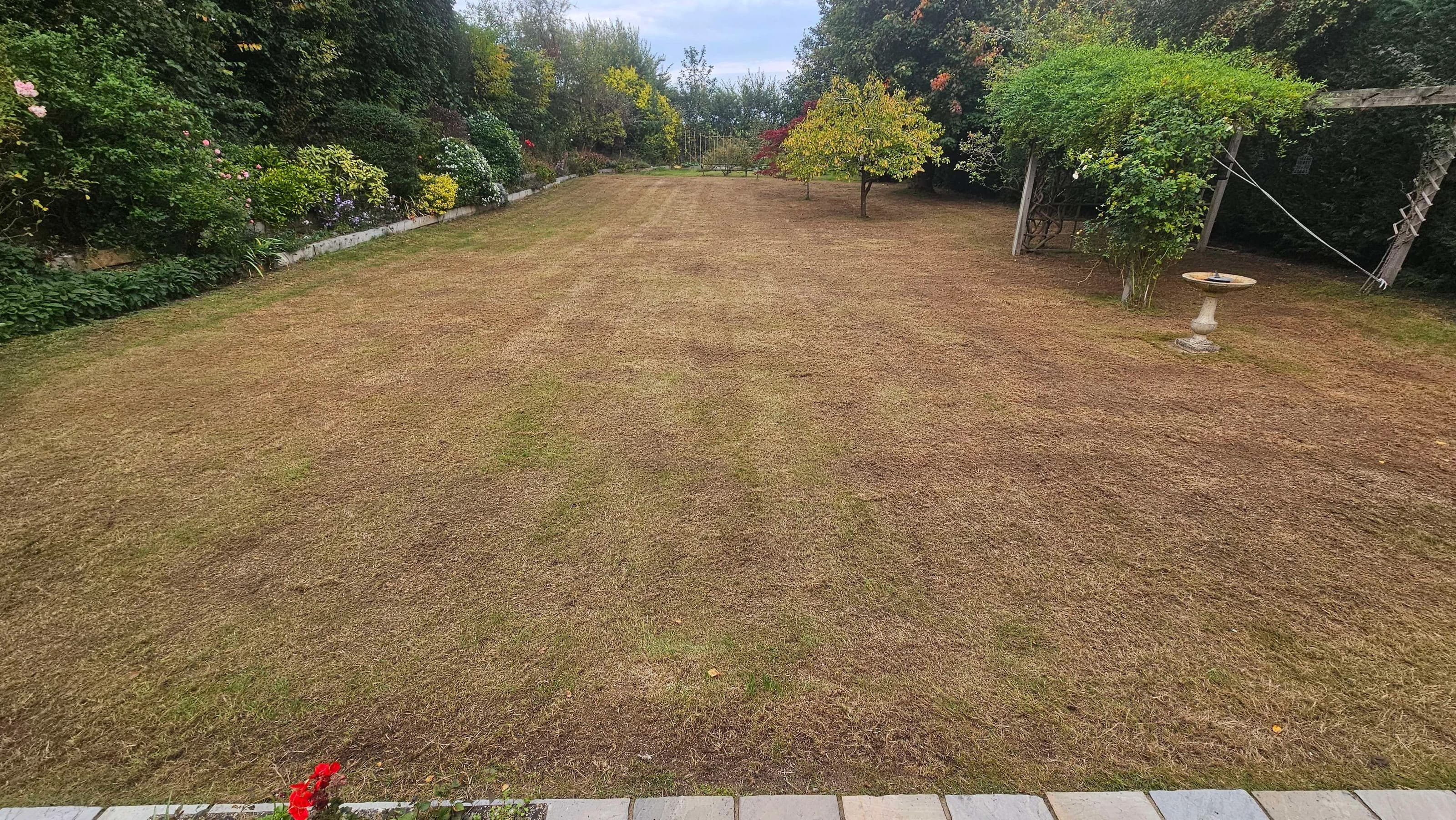 Mossy lawn based near Hemel Hempstead