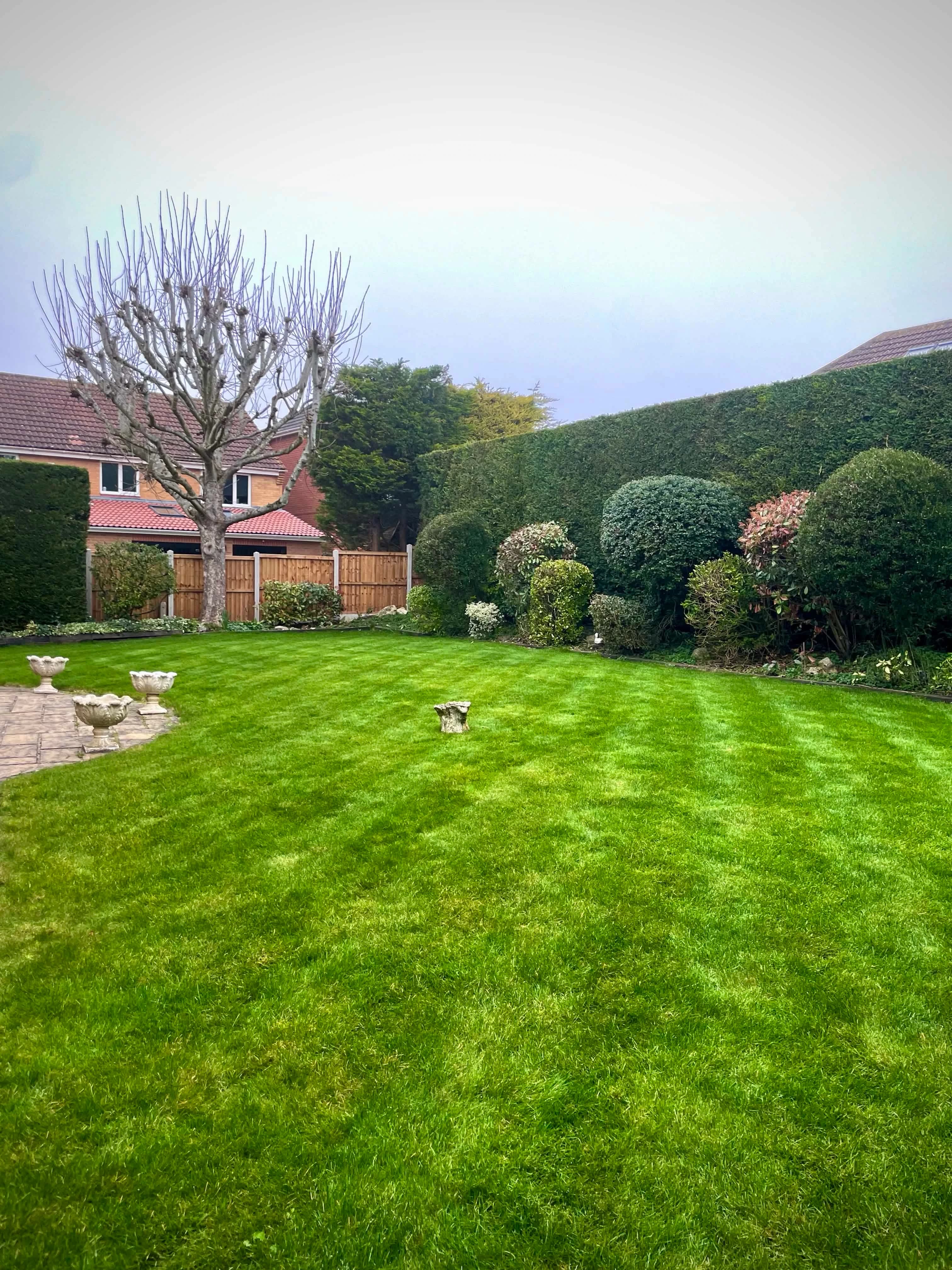 Lush, green lawn based near Colchester