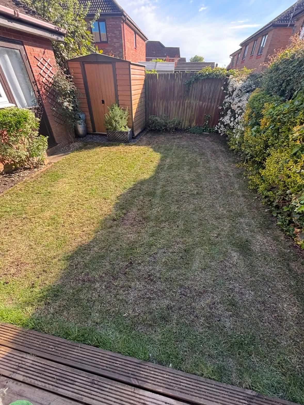 Lawn that has sparse growth and has a thatch buildup causing browing