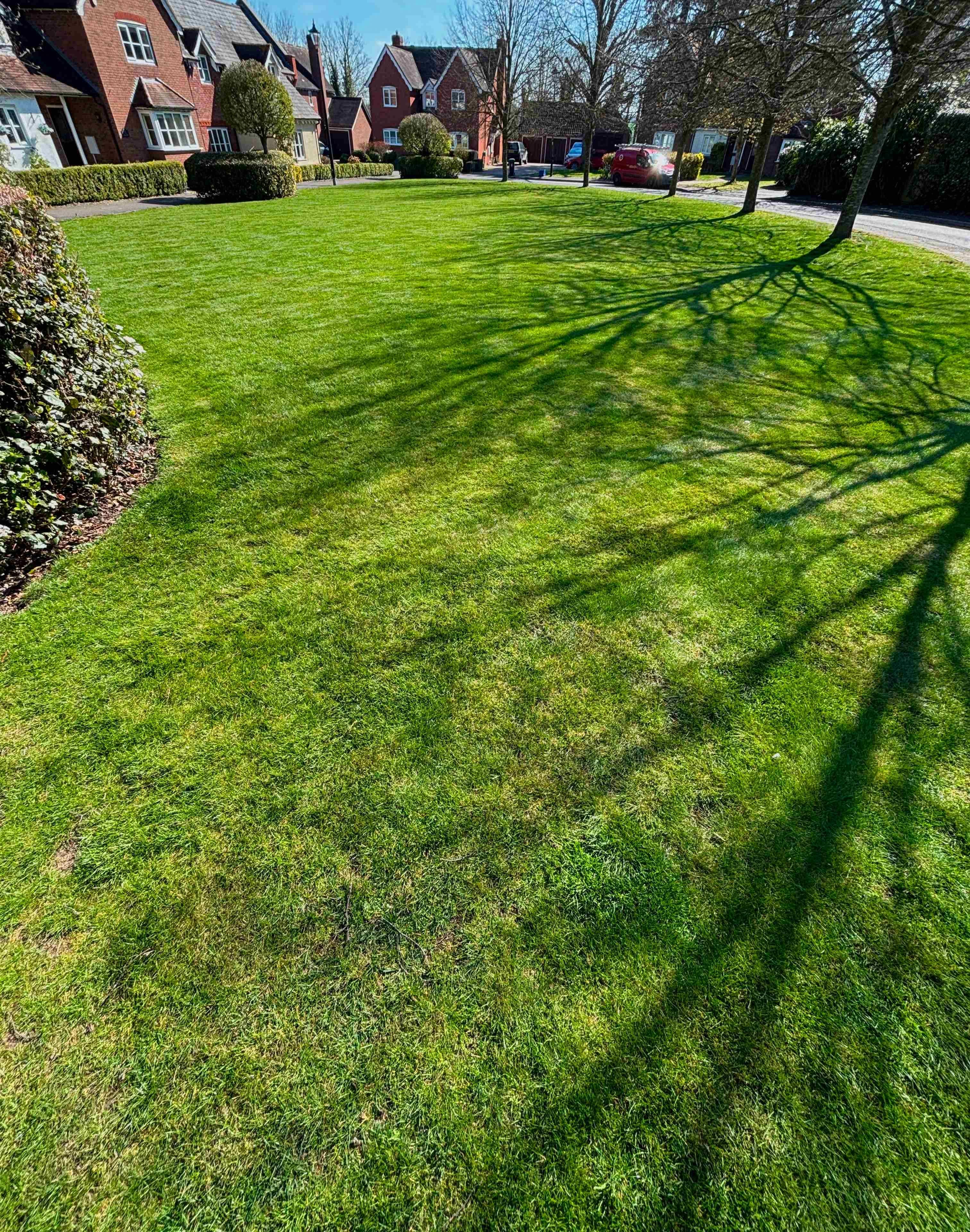A lush green lawn in Ongar