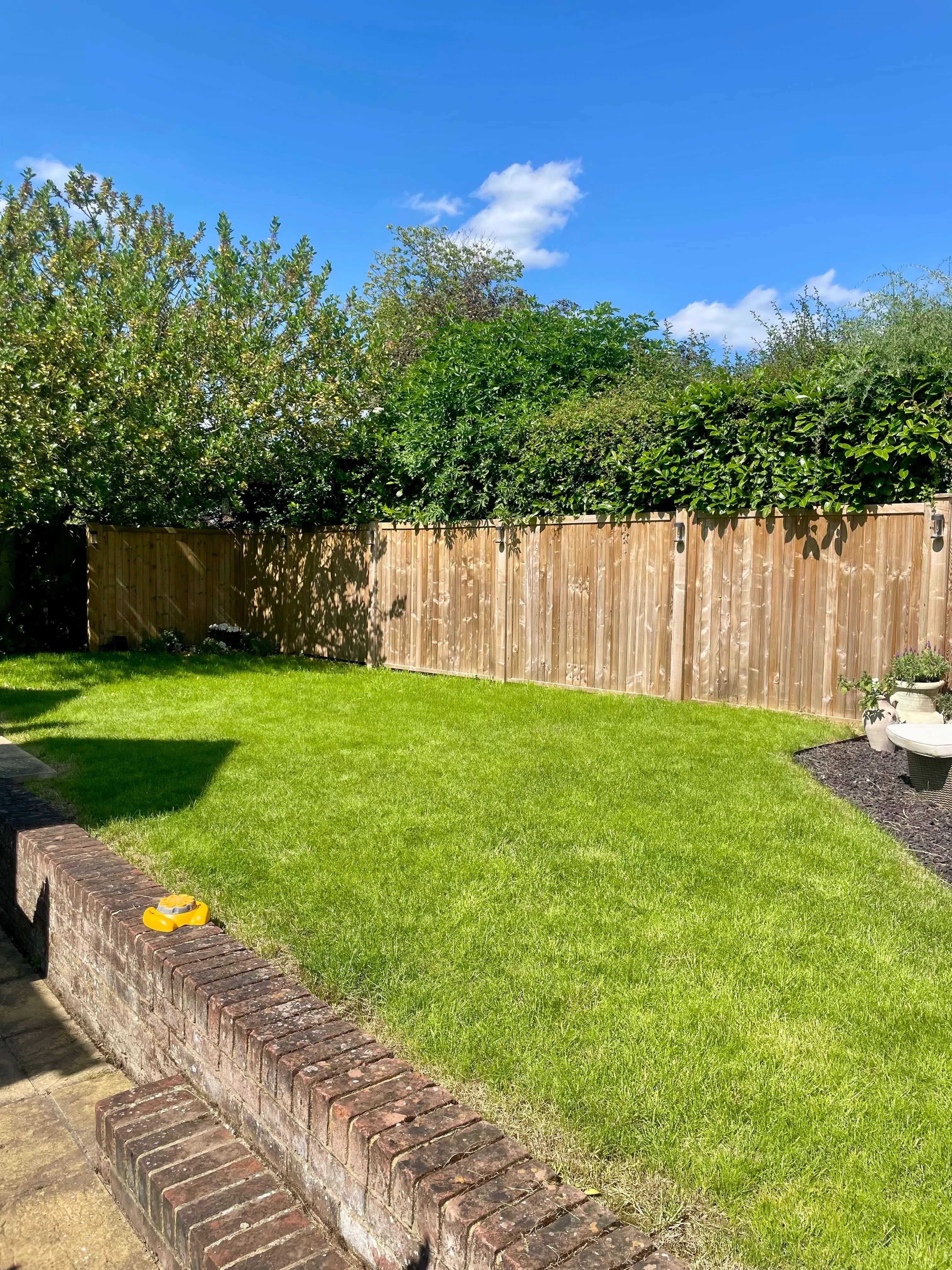 Green lawn that is moss and weed free in Chelmsford