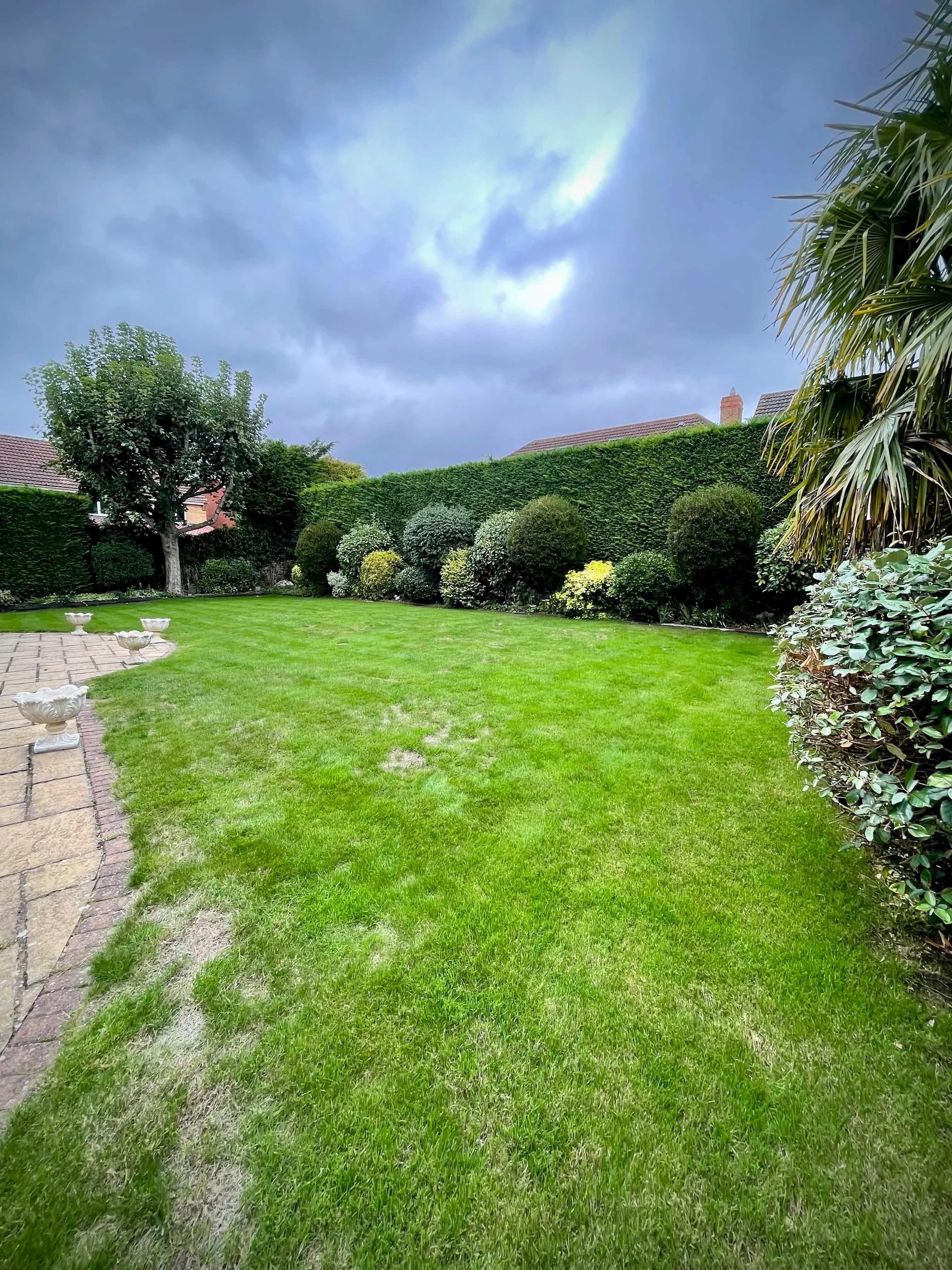 Colchester lawn that is struggling with bare patches