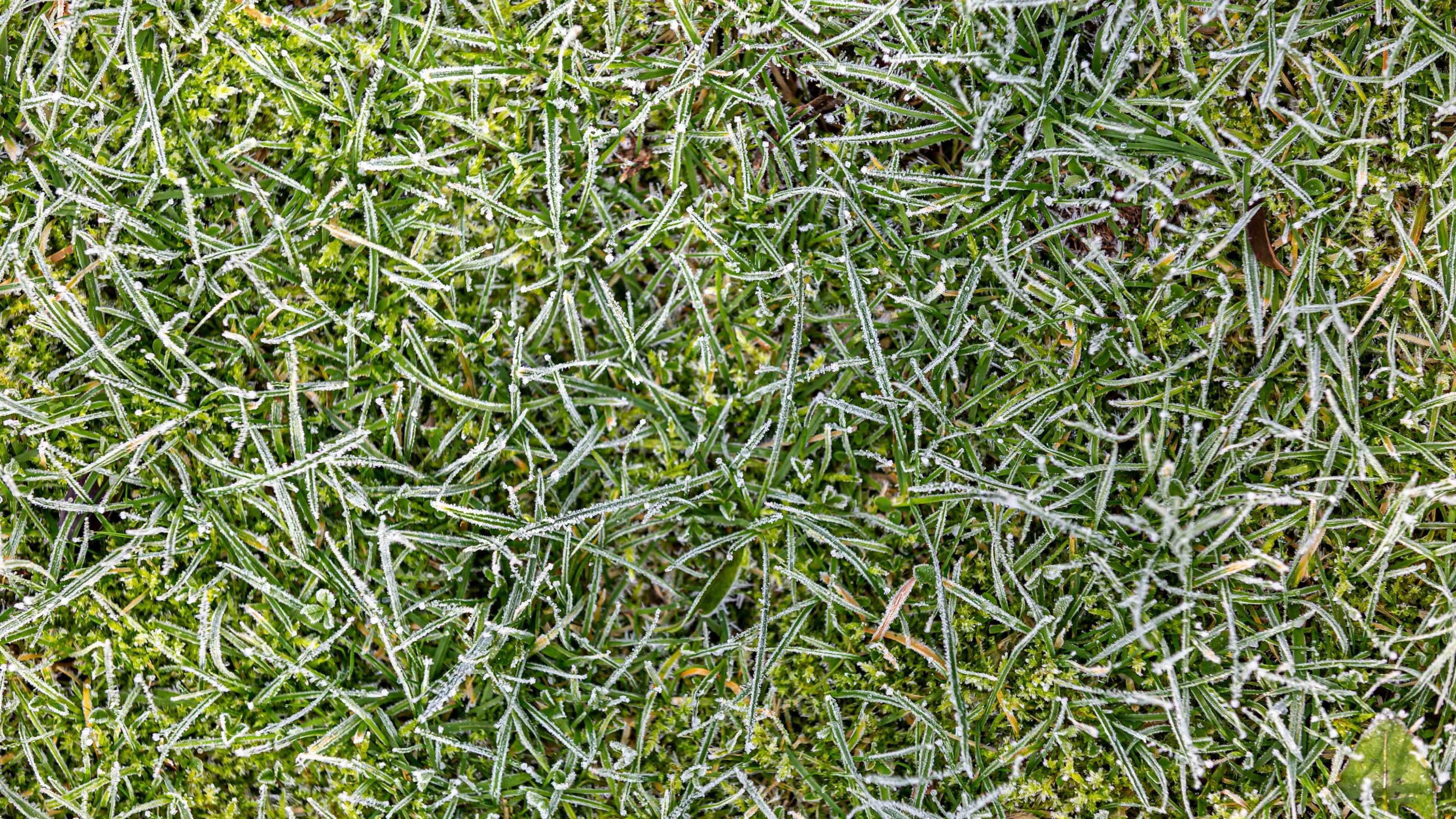 Looking down at a lawn on a cold winter's morning