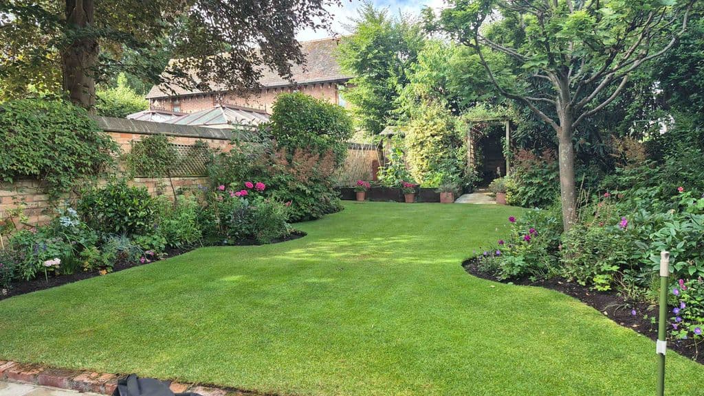 Autumn Lawn Care Guide