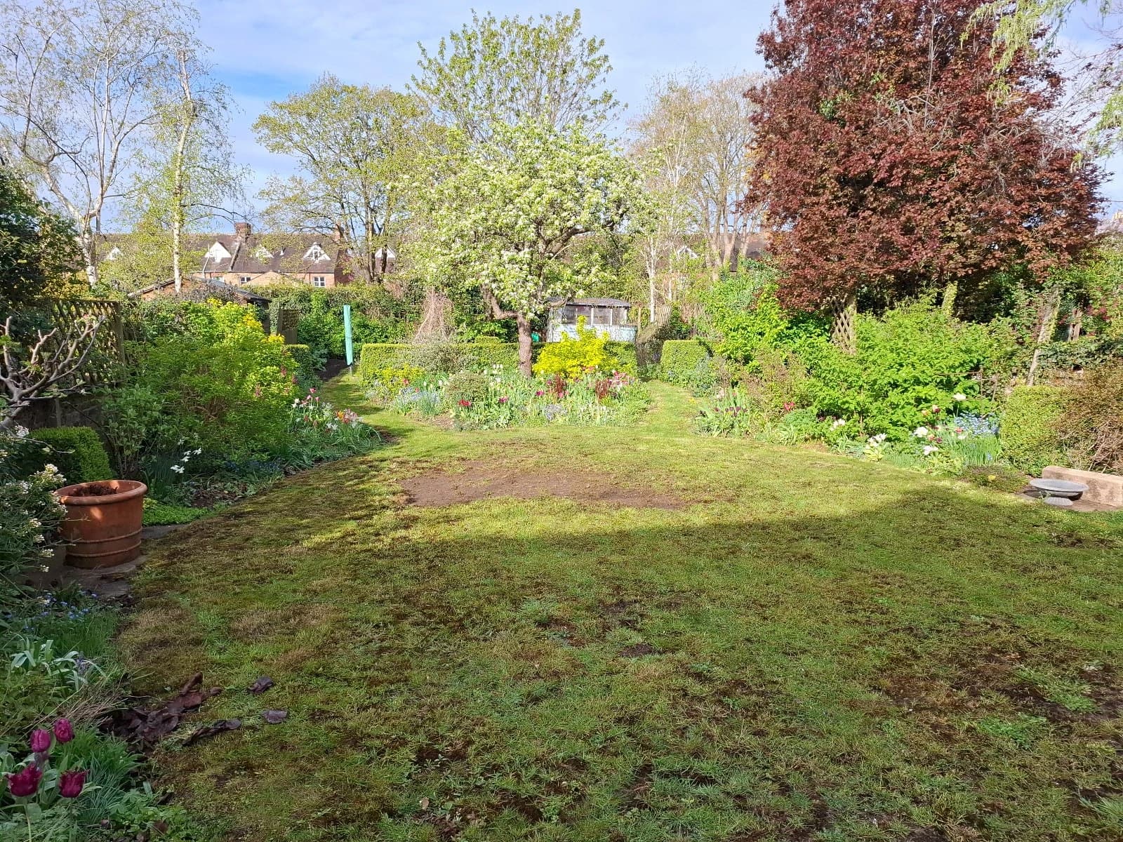 Bare and patchy lawn in Oxford