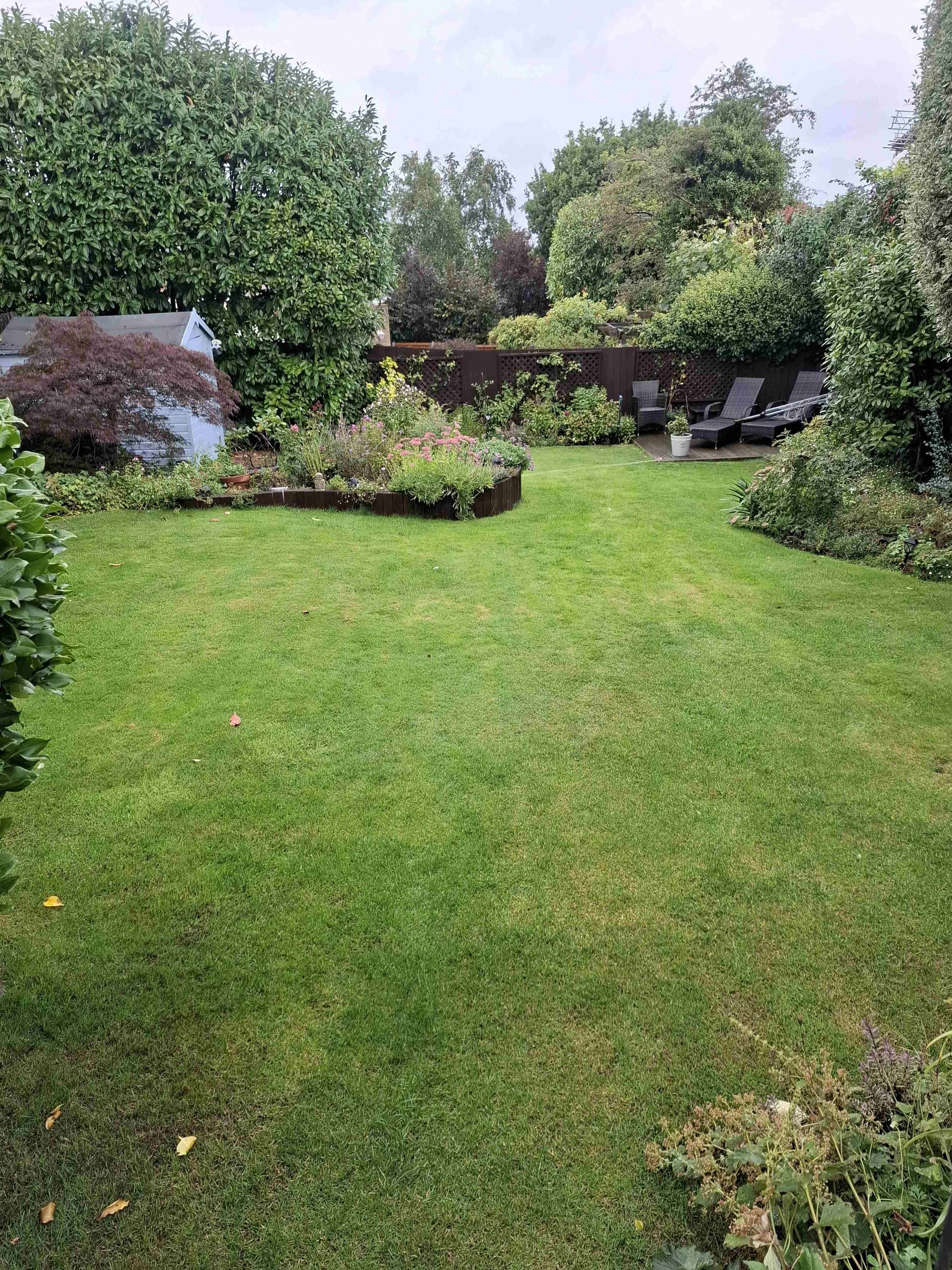 Picture of a garden with a green lawn that has recovered well from renovation