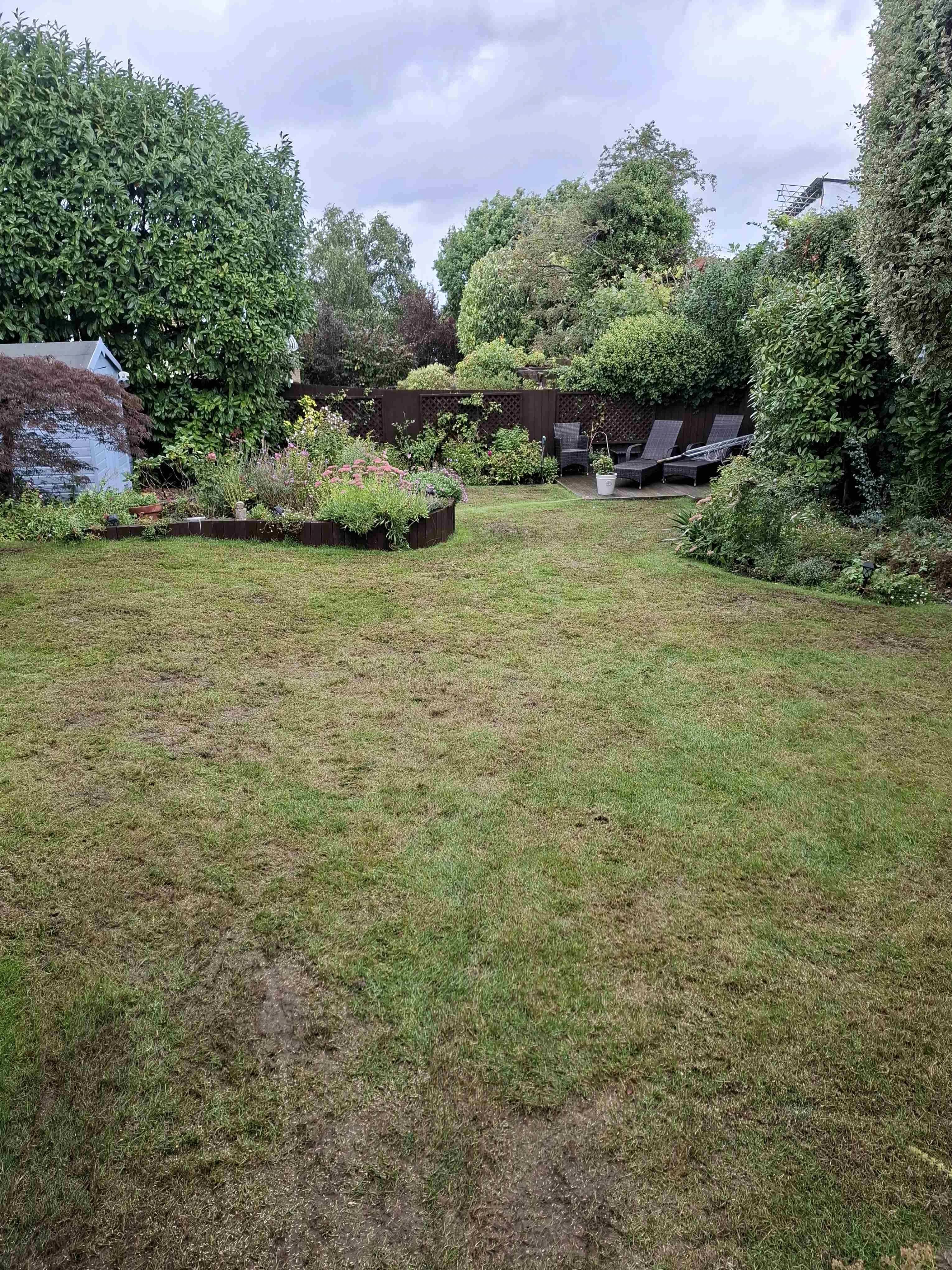 Picture of a garden with lawn that has many bare patches and thin growth